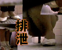 Gcolle PPV 795573 Vol.1 和式トイレおしっこ排尿排便うんこ生理ナプキン極太ウンチ他