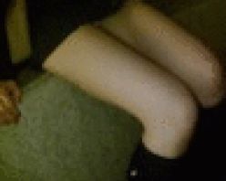 Gcolle PPV 578741 【怒涛の12分超え】股下0cm!?制服美脚美女を追跡3