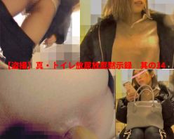 Gcolle PPV 759396 【盗撮】真・トイレ放尿放屁黙示録　其の34