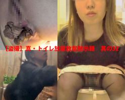 Gcolle PPV 758469 【盗撮】真・トイレ放尿放屁黙示録　其の32