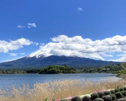 Gcolle PPV 956122 ５月の富士山