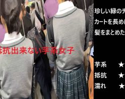 Gcolle PPV 983518 『シン・お触り紳士の日課』第六十六話