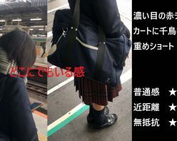 Gcolle PPV 971187 『シン・お触り紳士の日課』第二十一話