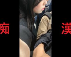 Gcolle PPV 981264 日本の車窓から【本日の混み具合】EP９８