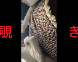 Gcolle PPV 974203 日本の車窓から【本日の混み具合】EP７３