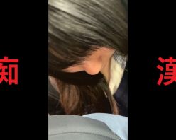 Gcolle PPV 983564 日本の車窓から【本日の混み具合】EP１０８