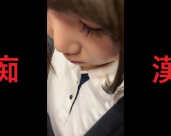 Gcolle PPV 985763 日本の車窓から【本日の混み具合】EP１１７