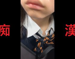 Gcolle PPV 982152 日本の車窓から【本日の混み具合】EP102 Gcolle PPV 982152 日本の車窓から【本日の混み具合】EP102